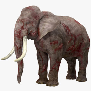 obj wounded elephant
