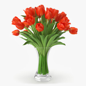 tulip vase 3d model