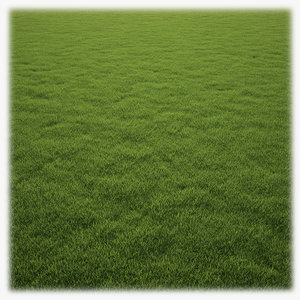 realistic lawn grass clump 3ds