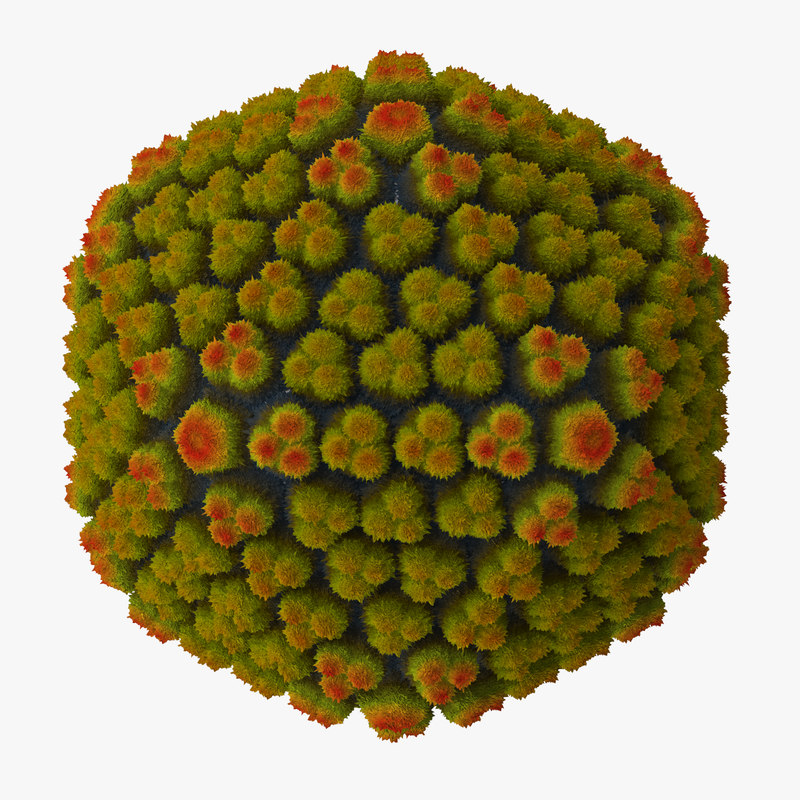 3d Model Virus Adeno