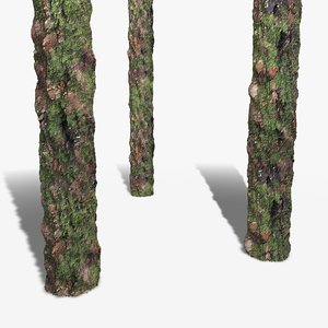 Thick Bark with Moss Seamless