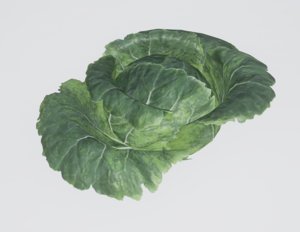 3d cabbage