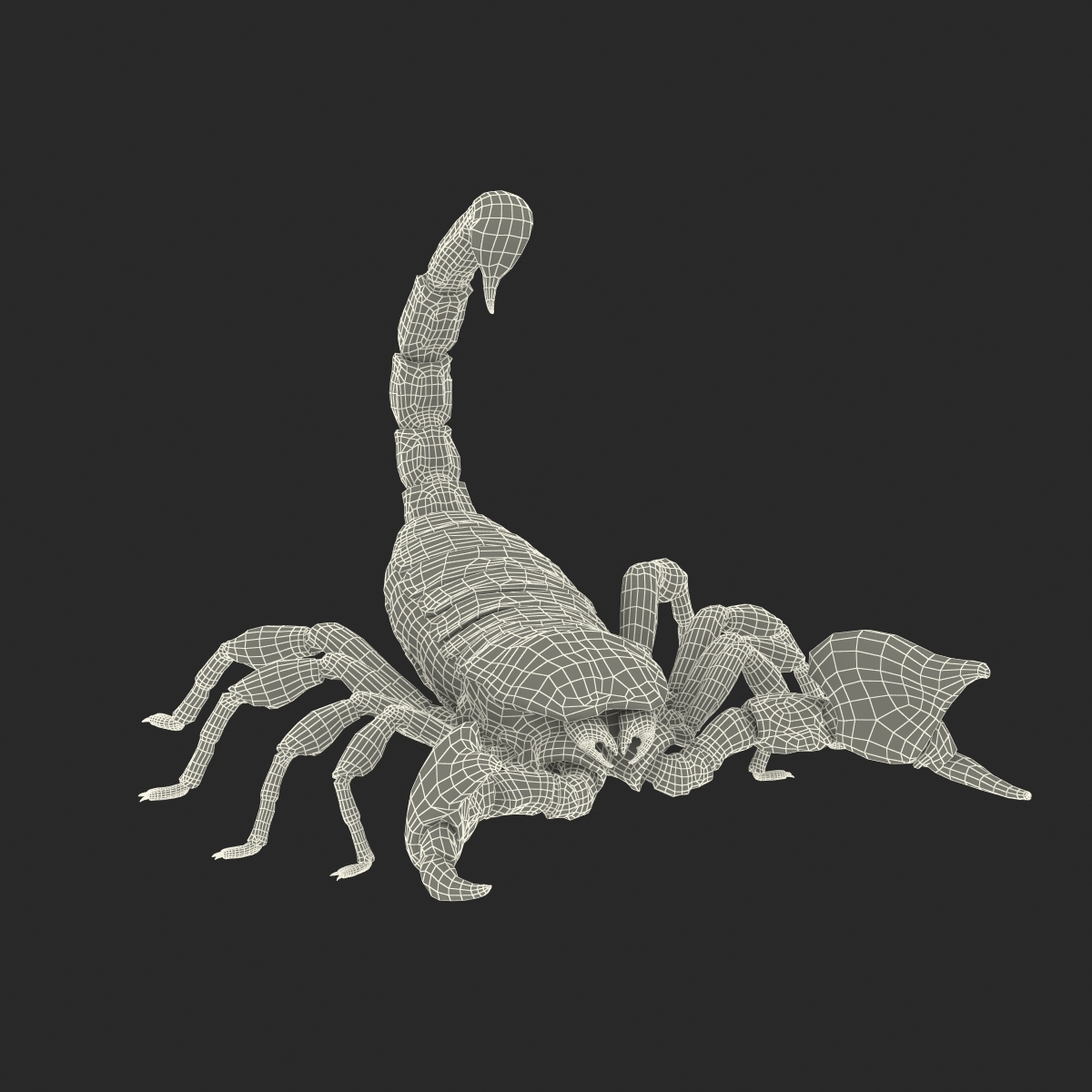 蝎子姿势23d模型