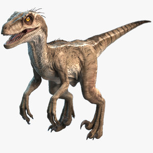Velociraptor Karte 3D Lentikular kleiner Raubsaurier