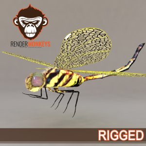 3d model dragonfly rigged