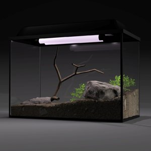 3d aquarium model