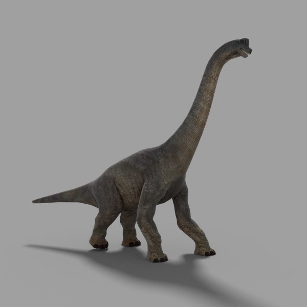 brachiosaurus 3d view