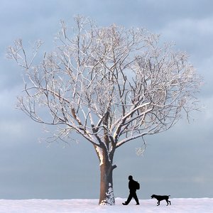 winter tree 3d max