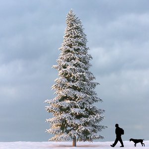 winter tree max