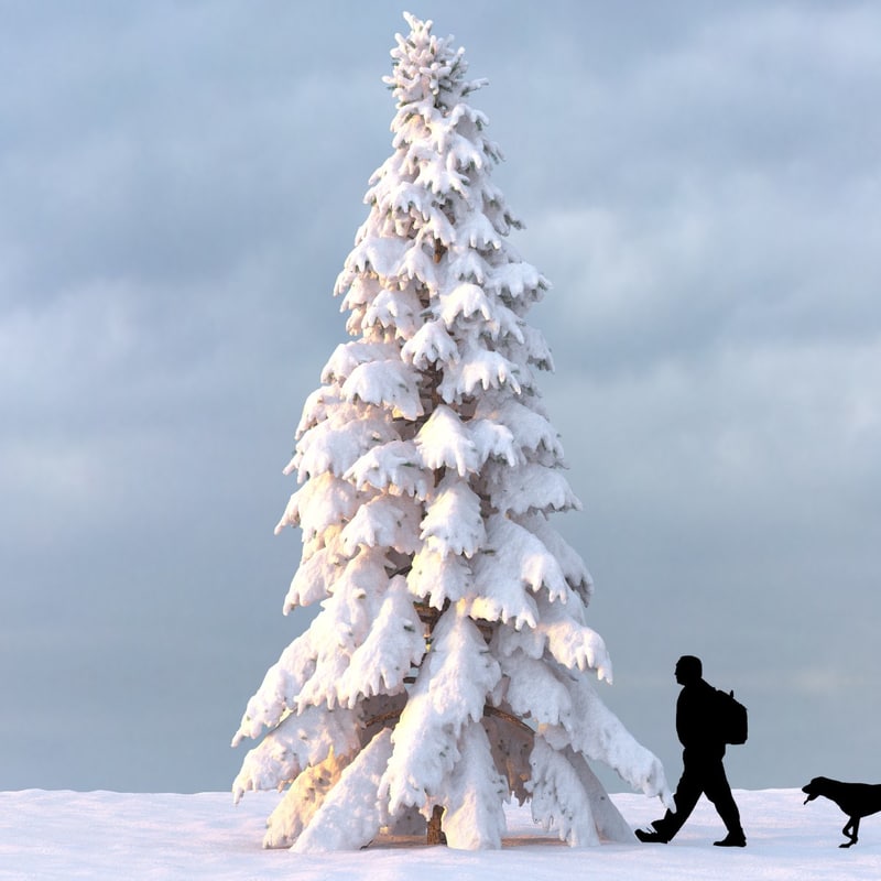 3d model winter tree