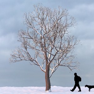 3d winter tree model