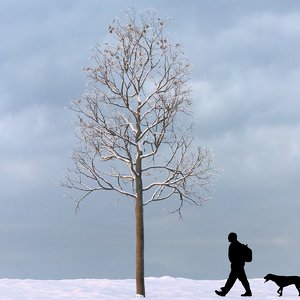 3d max winter tree
