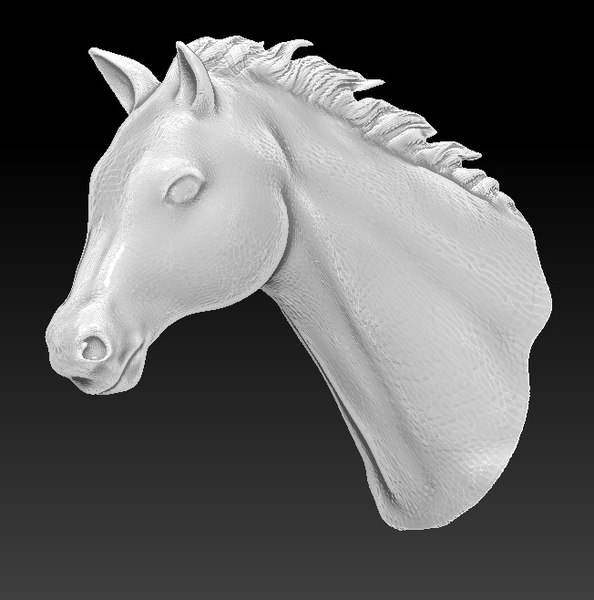 馬の頭3dモデル Turbosquid