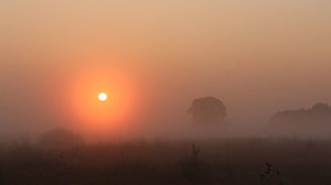 Dawn, daybreak, sunrise
