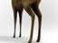 3d deer rigged model