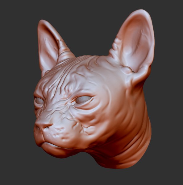 3d cat head