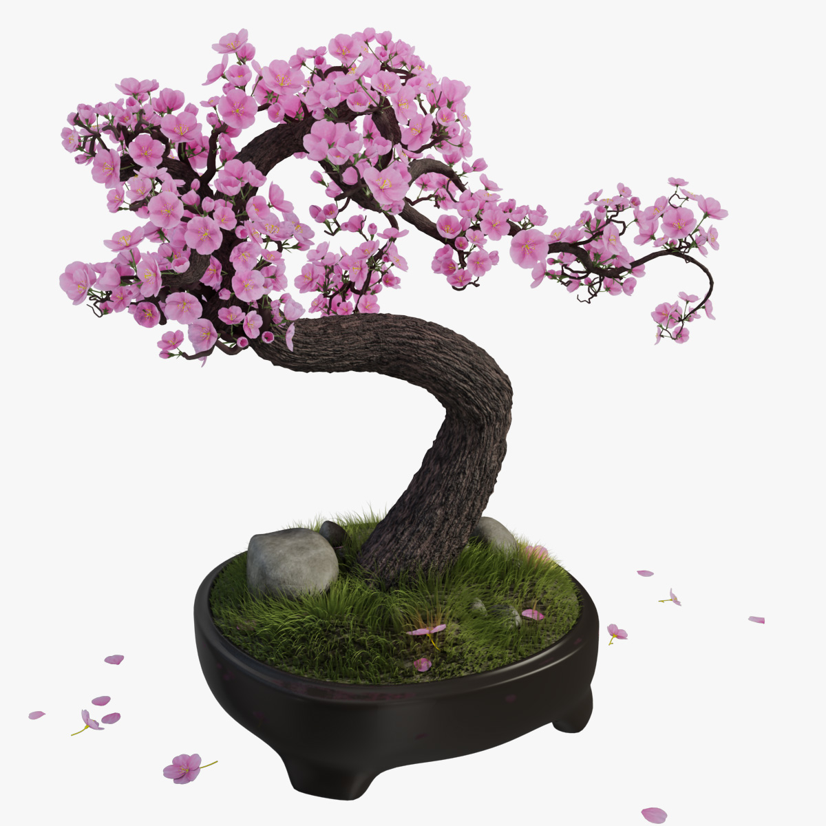 - Bring Home A Piece Of Spring: Sakura Bonsai Tree For Sale