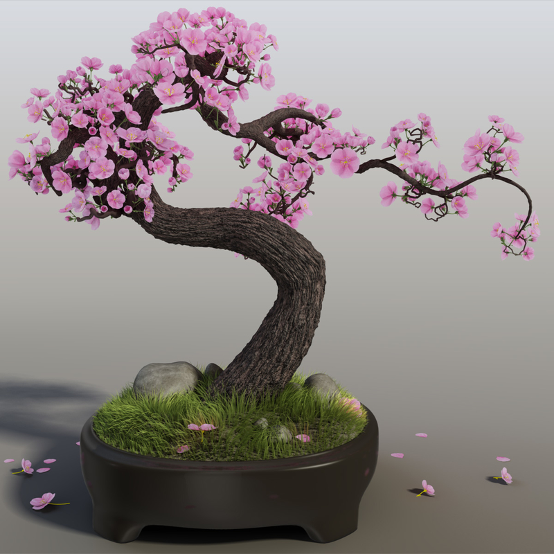 sakura bonsai tree 3d max