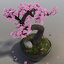 sakura bonsai tree 3d max