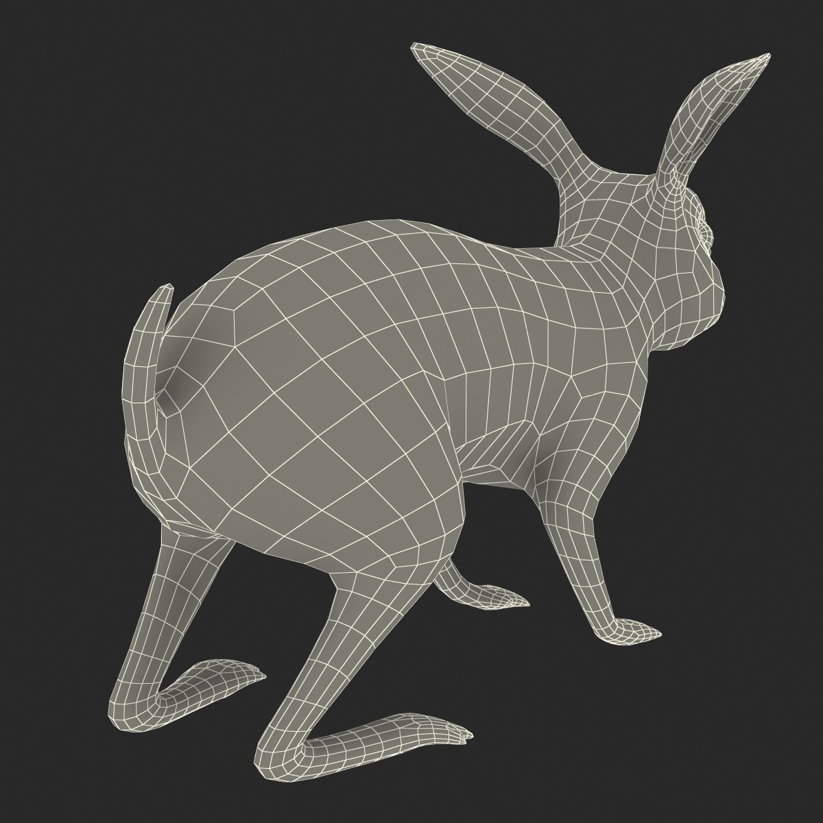 3d white rabbit rigged