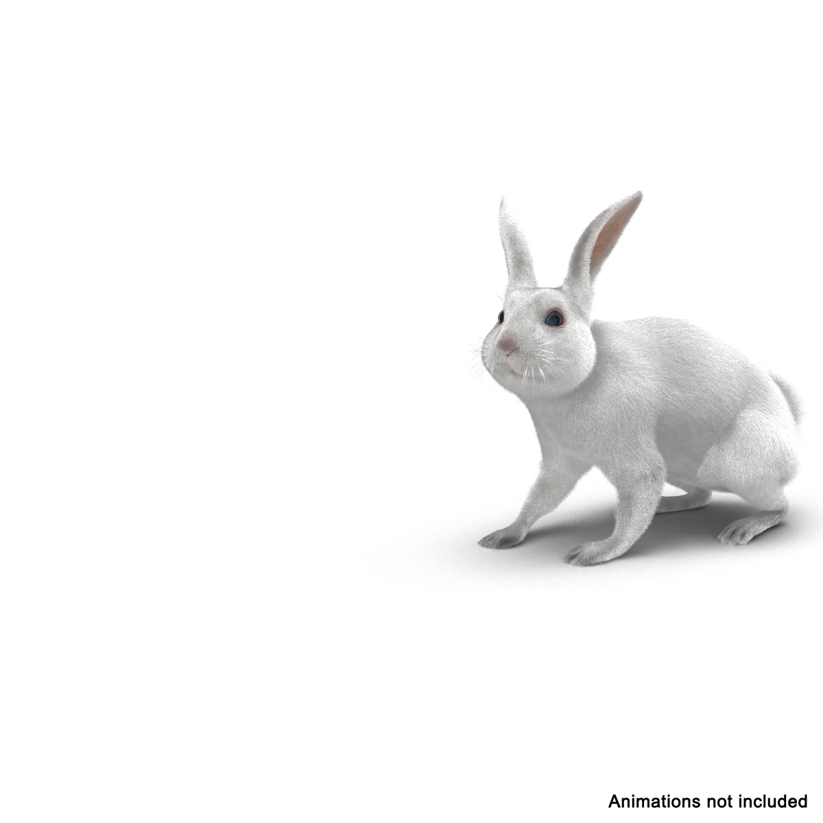 3d white rabbit rigged
