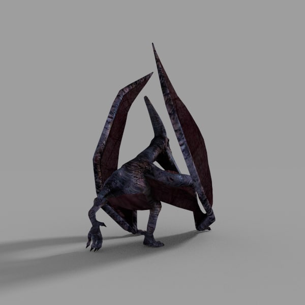 large pterodactyl