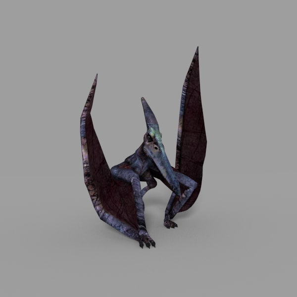 pterodactyl 3d google