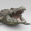 realistic crocodile max