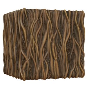 Strangler Fig