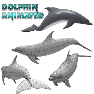 3d dolphin