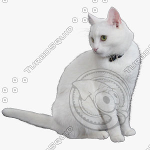 GW Cat A 05