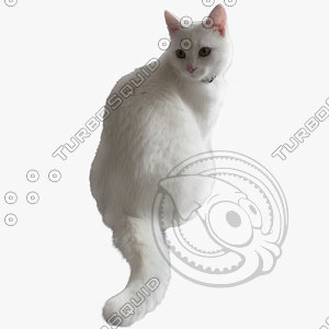 GW Cat A 06