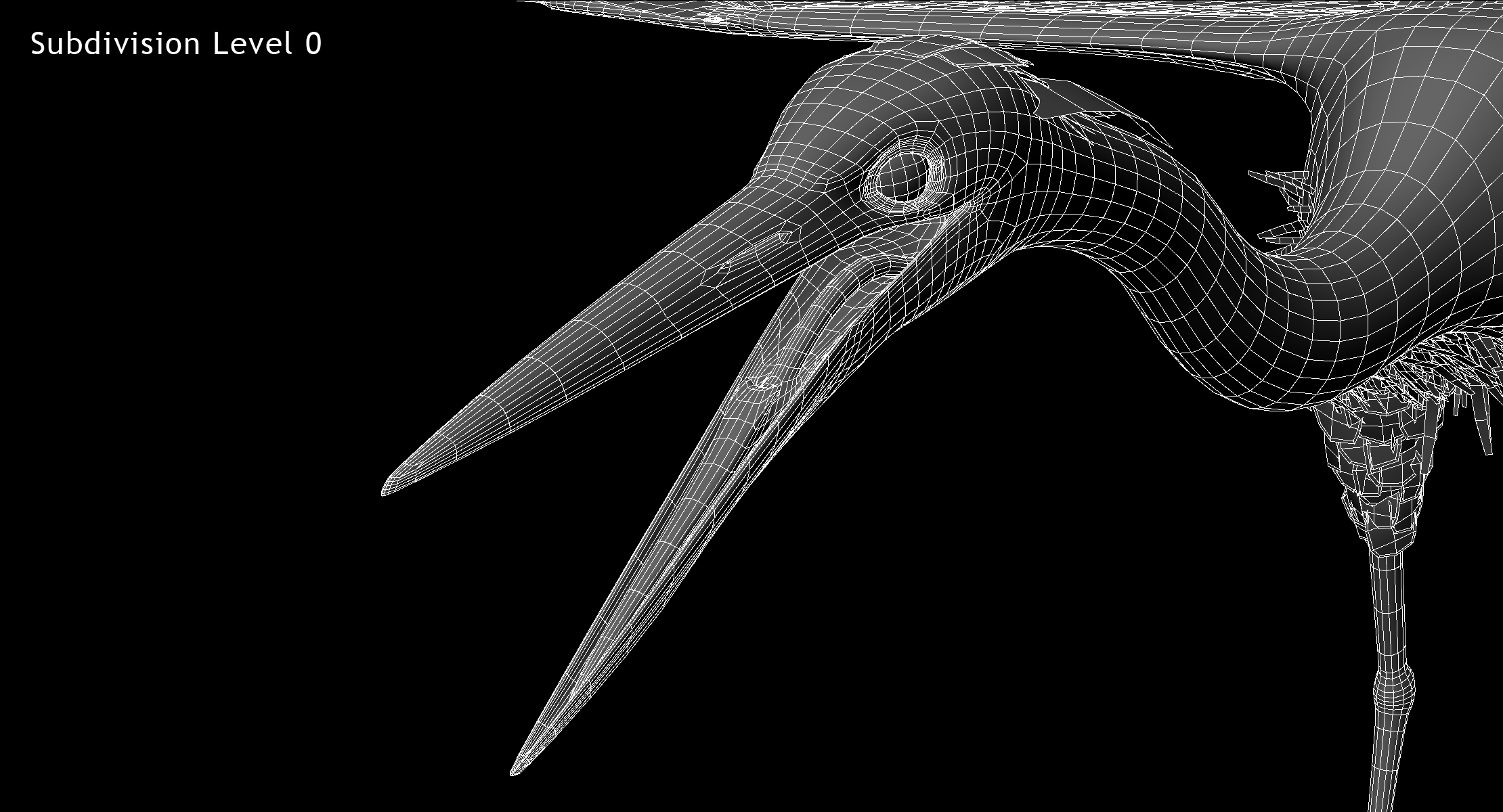 ardea herodias "great blue heron"