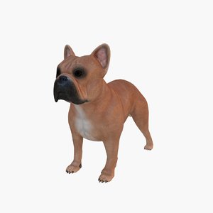 dog bulldog 3d model