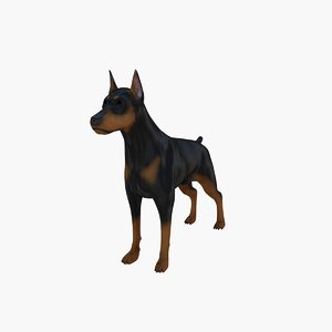 3d dog canine model
