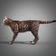 3d model cat fur
