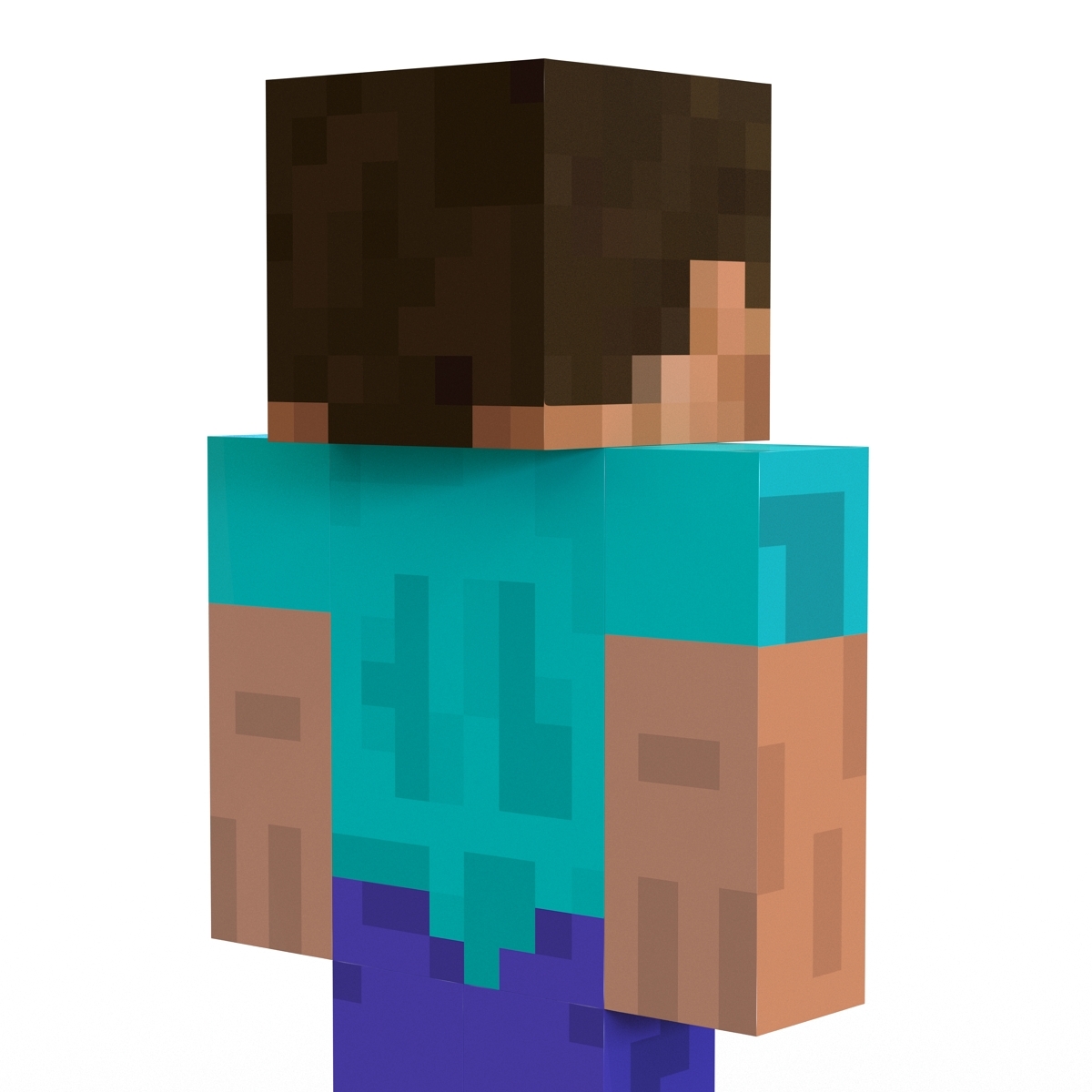 Minecraft Pictures Of Steve And Mobs