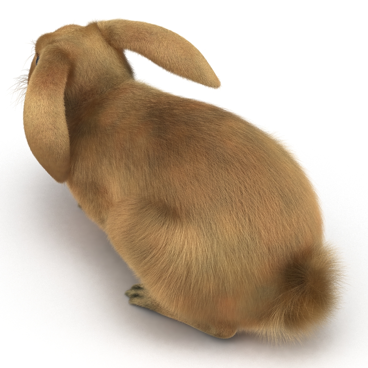 rabbit pose 2 3d model