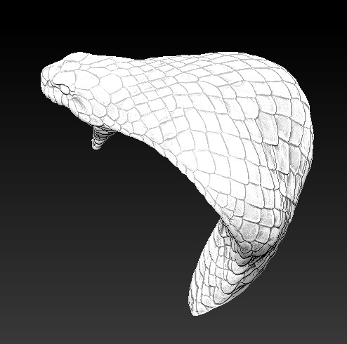眼镜蛇头3d模型
