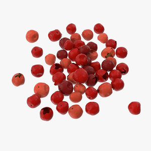 3d model of red peppercorns