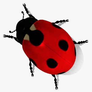 ladybug bug lady 3d 3ds