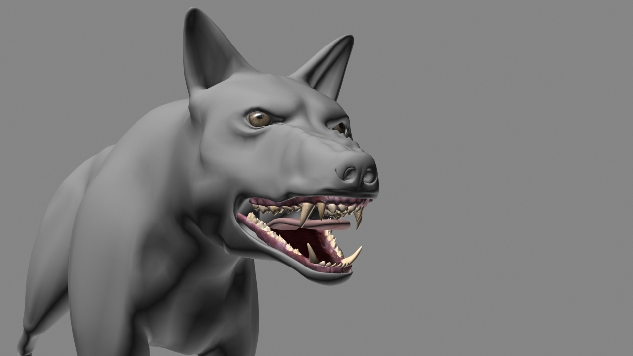3d cat fight animation wolf model