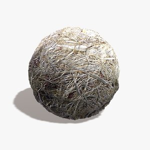 Beach Grass Seamless