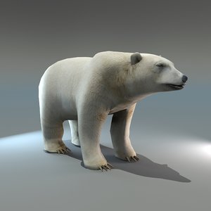 polar bear 3d max
