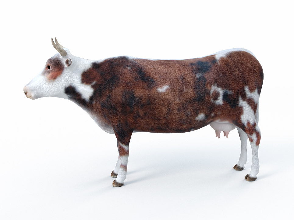 cow 3d max