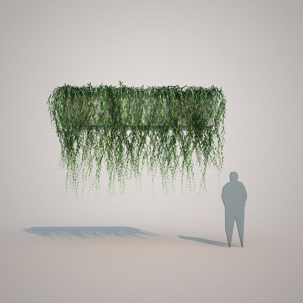 3d model vernonia elliptica