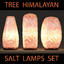 3d model himalayan salt table lamps