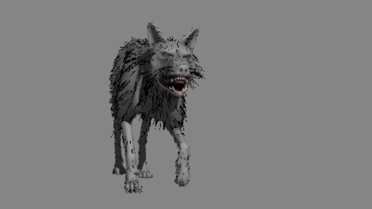 3d cat fight animation wolf model