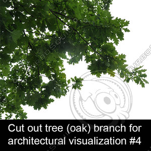 Cut out oak tree branch for architectural visualization #4