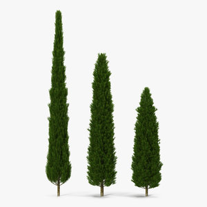 cypress trees set 3d 3ds
